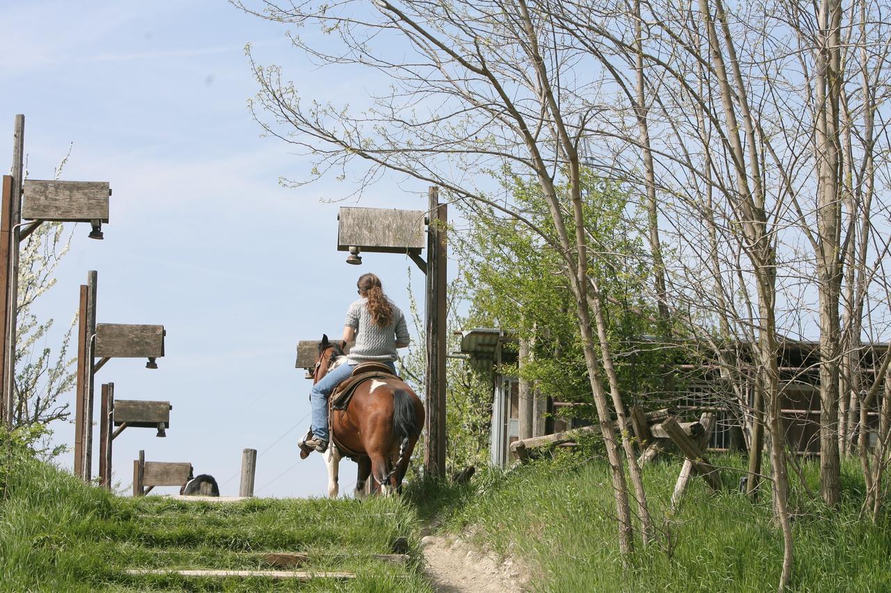 Cowboys Guest Ranch 호텔 보게라 외부 사진